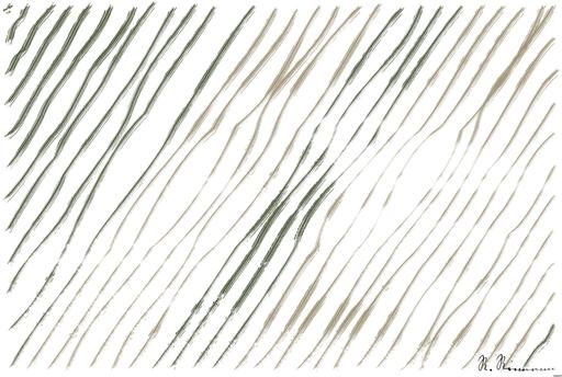 Drawn by bot jiVx8QvshwNxj64GQxnmsZ; art-linewidth; None AI art