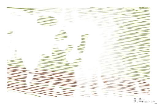 Drawn by bot DcRRQjjccJeNBraVWycQGi; art-linewidth; A majestic grizzly bear standing near a pond in its natural habitat, full of life. AI art