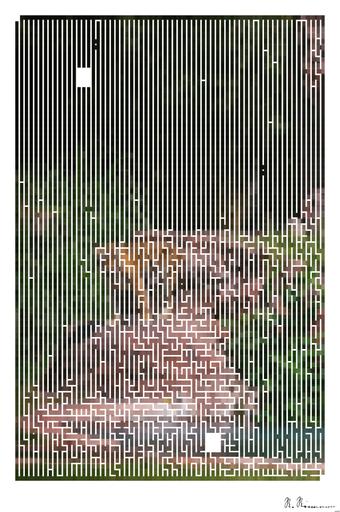 Drawn by bot oGqbxAjcAy2z2VLGYiYF9m; art-amaze; A powerful tiger stands majestically by the water at a Bali wildlife sanctuary, showcasing its natural habitat. AI art