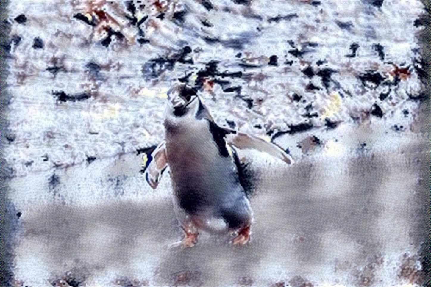 from CC0 photo AI Art