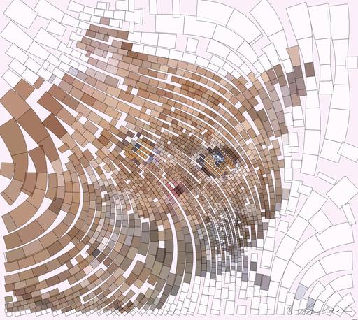 Drawn by bot SxD3Jt3tYKscVpuN9cXM2u; art-flowy; orange tabby cat on white textile AI art