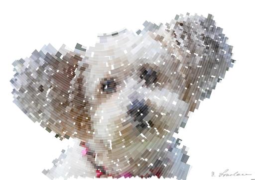 from CC0 photo AI art