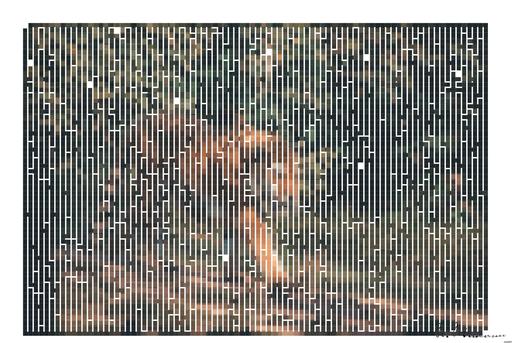 Drawn by bot UBvMYmw7fAmpUsKRqwvsMM; art-amaze; A majestic tiger walks through grass in its jungle habitat, captured in natural daylight. AI art