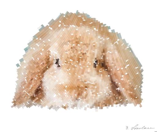 Drawn by bot TVwjCHAL4wv39HCARA64yc; art-flowy; brown rabbit on white textile AI art