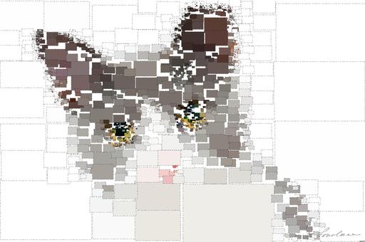 Drawn by bot jqaEHzVQQePKxmR4vQ3oGW; art-quadrangle; Adorable grey and white cat with striking yellow eyes against a plain backdrop. AI art