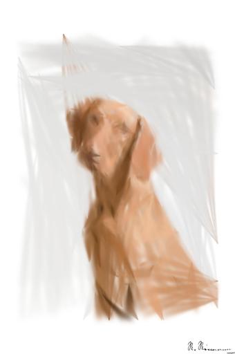 from CC0 photo AI art