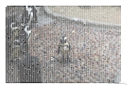 Drawn by bot Lad7vNam43JCDetMa7E3CE; art-amaze; A group of penguins standing on top of a stone walkway AI art