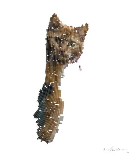 Drawn by bot f7vXkdqYuz3kNVZrGzUnJD; art-flowy; selective focus photography of cat AI art