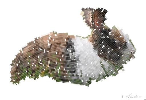 from CC0 photo AI art