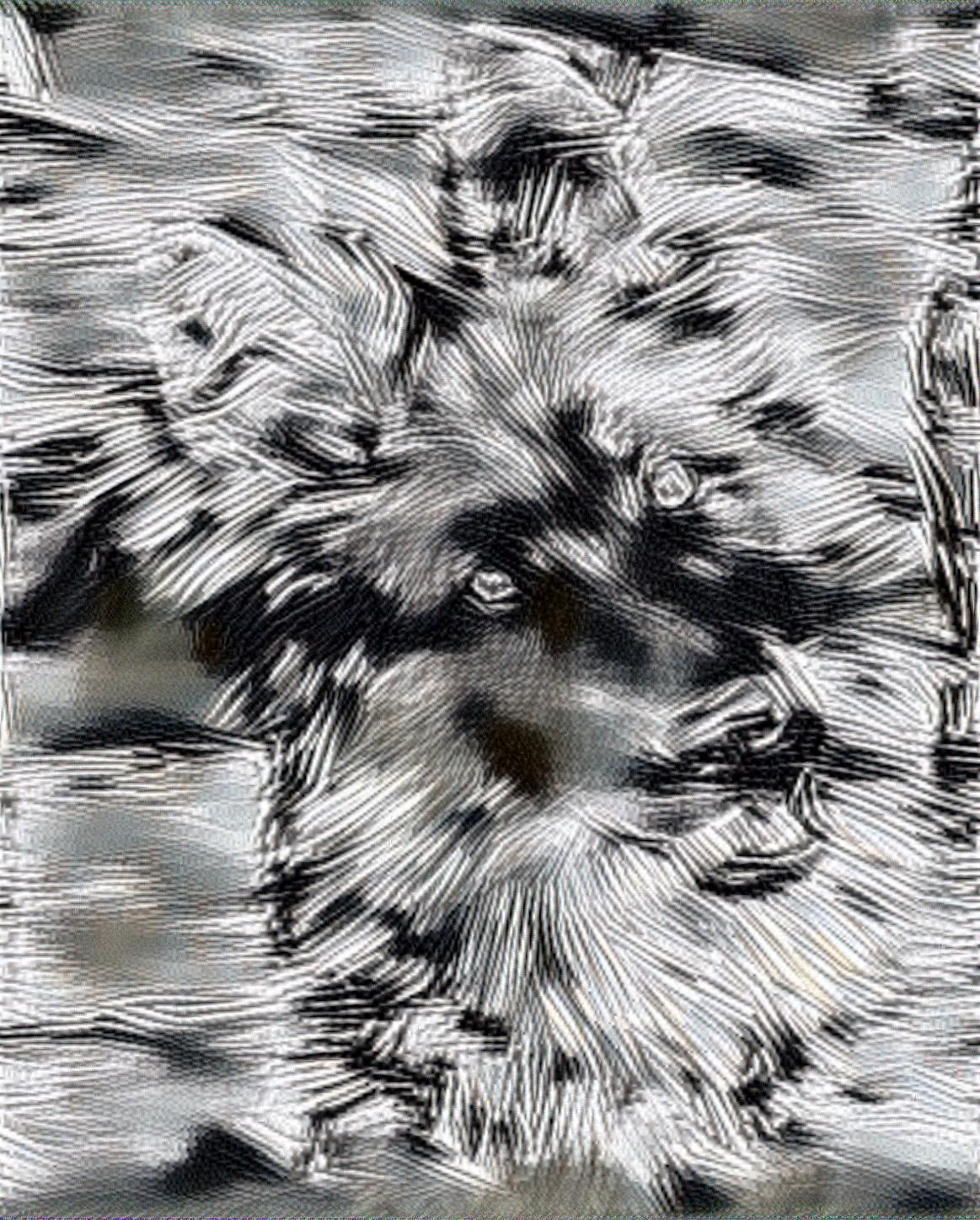 from CC0 photo AI Art