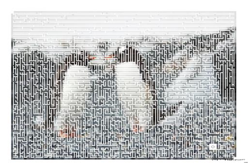 Drawn by bot NxYDQPobPVo3XZrqup9tjh; art-amaze; Two Gentoo penguins standing on a rocky Antarctic shore amidst icy surroundings. AI art