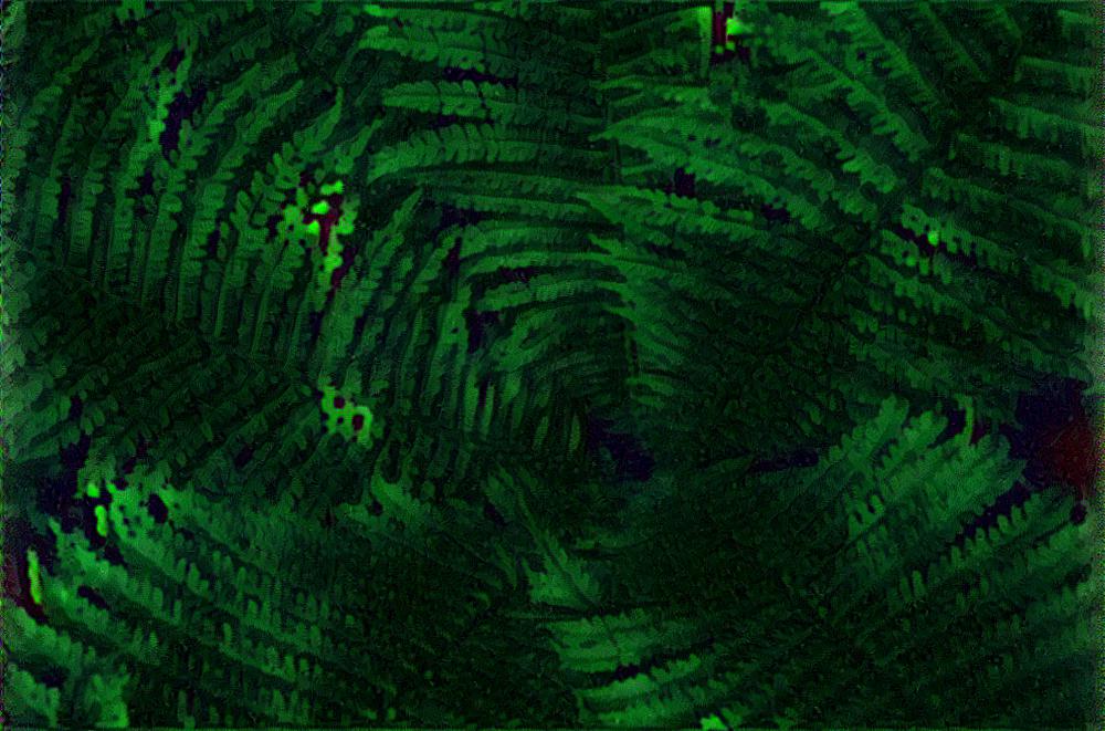 from CC0 photo AI Art