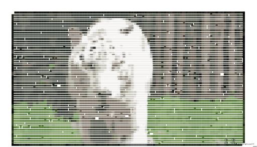 Drawn by bot D7byz6948dpizV9ZJ4YgMy; art-amaze; None AI art