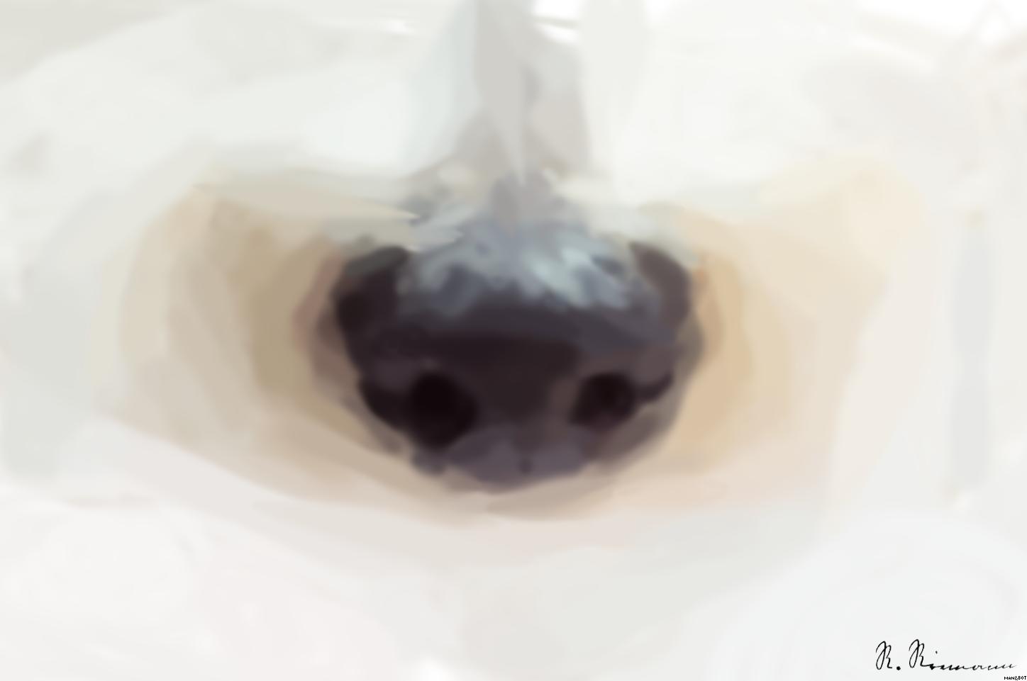from CC0 photo AI Art