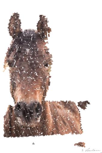 Drawn by bot KZA8YivakcPMSdNecgZ6PP; art-flowy; Majestic brown horse looking directly at the camera in an open pasture setting. AI art