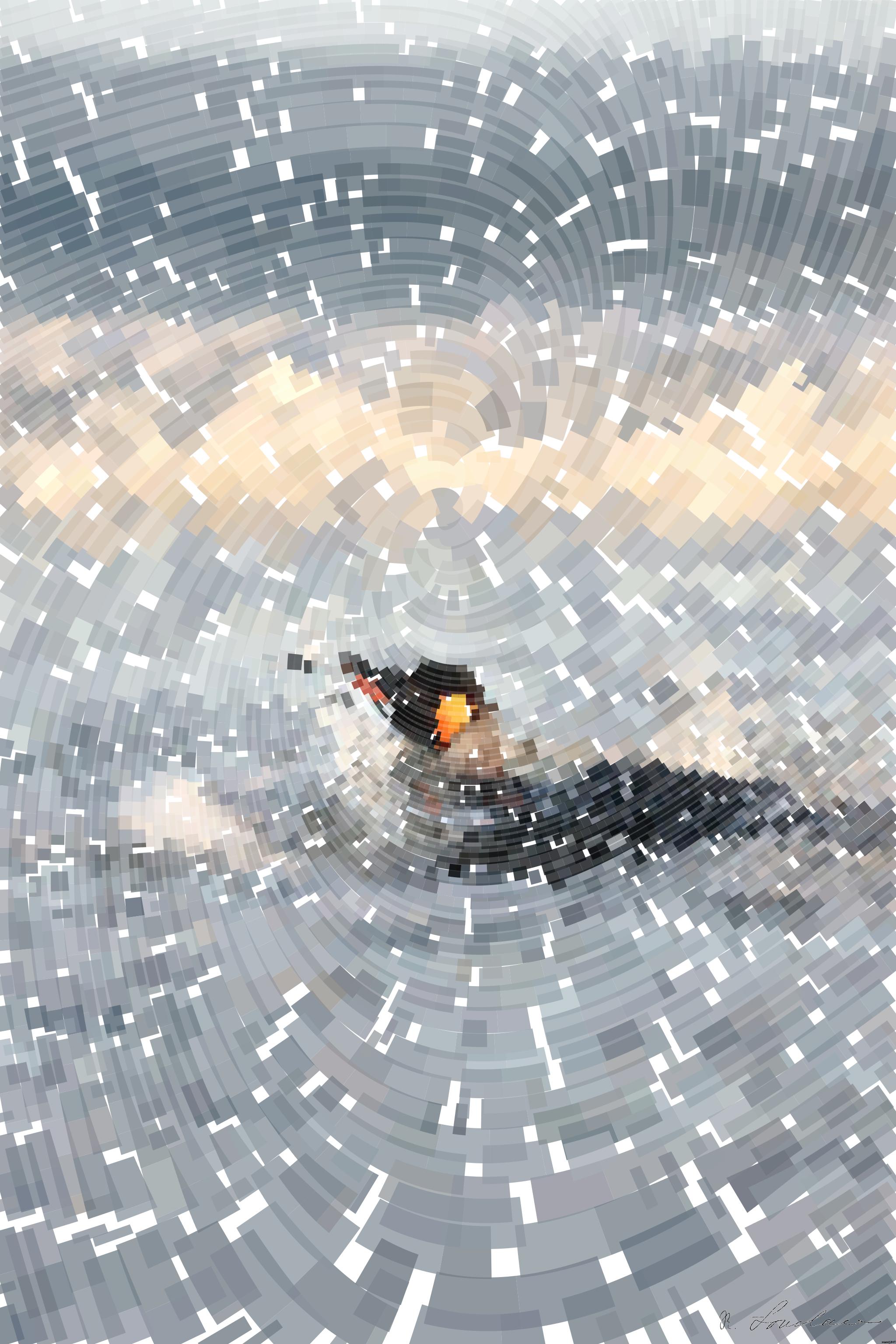 Drawn by bot fiYUd2XfVehYyQuTGepA5q; art-flowy; a black and white bird swimming in the ocean AI Art