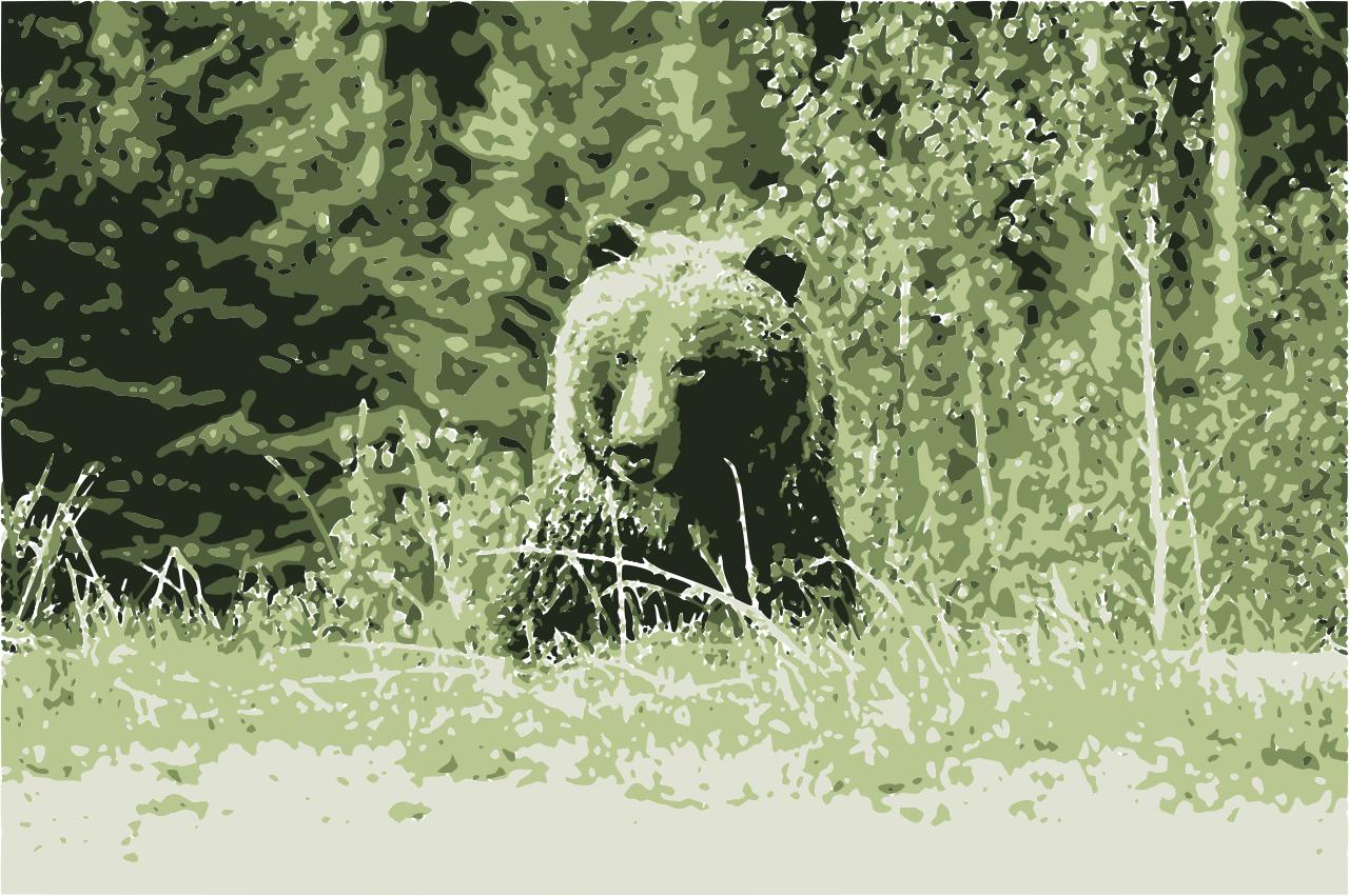 from CC0 photo AI Art