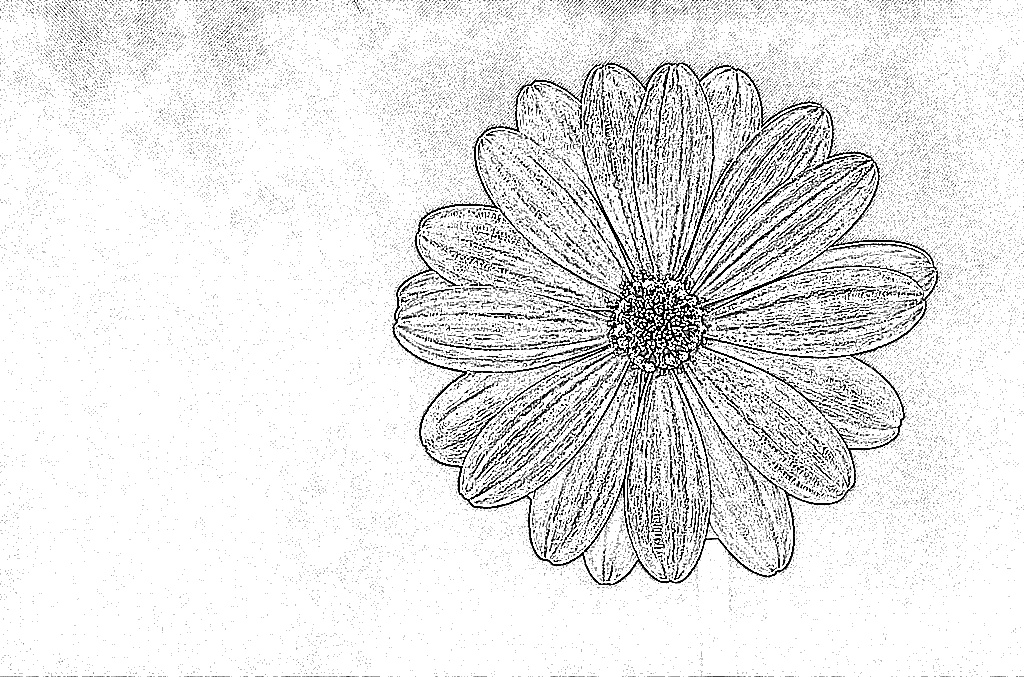 from CC0 photo AI Art