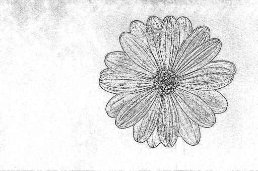 from CC0 photo AI art