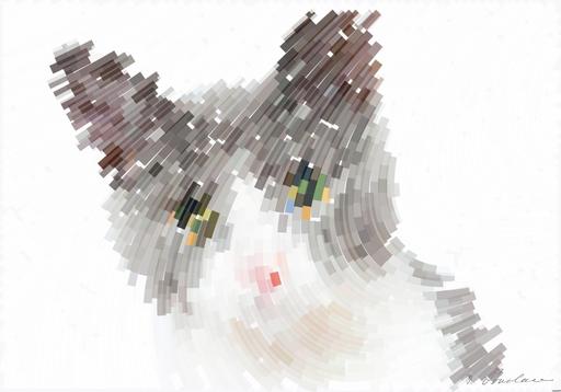 Drawn by bot jaiasJeKiRBFN4BBLWygAM; art-flowy; Adorable grey and white cat with striking yellow eyes against a plain backdrop. AI art