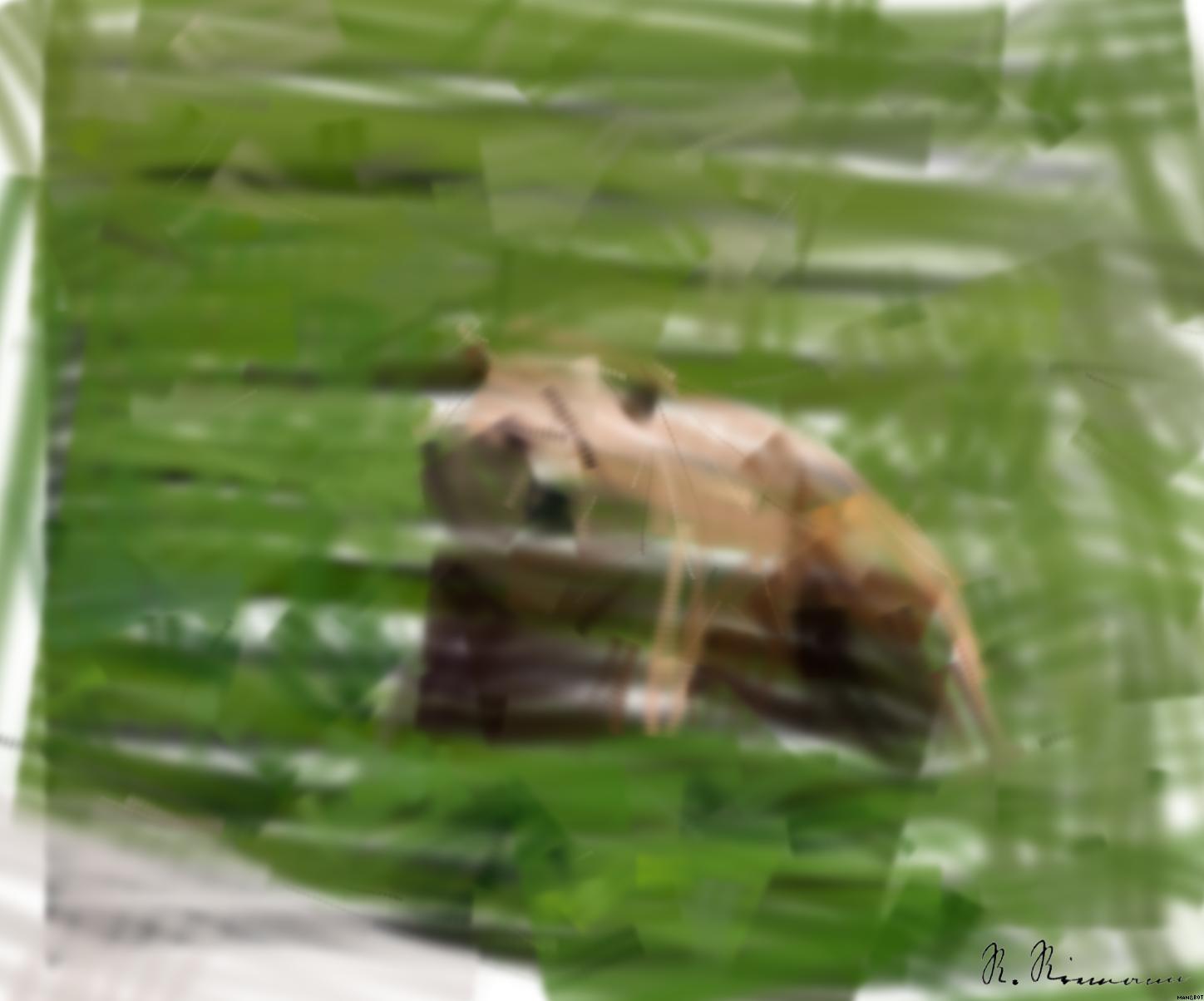 Drawn by bot QDNX3VzNsTse5ps44RzyiF; art-primitive-paintbrush-ii; brown bear on green grass field during daytime AI Art
