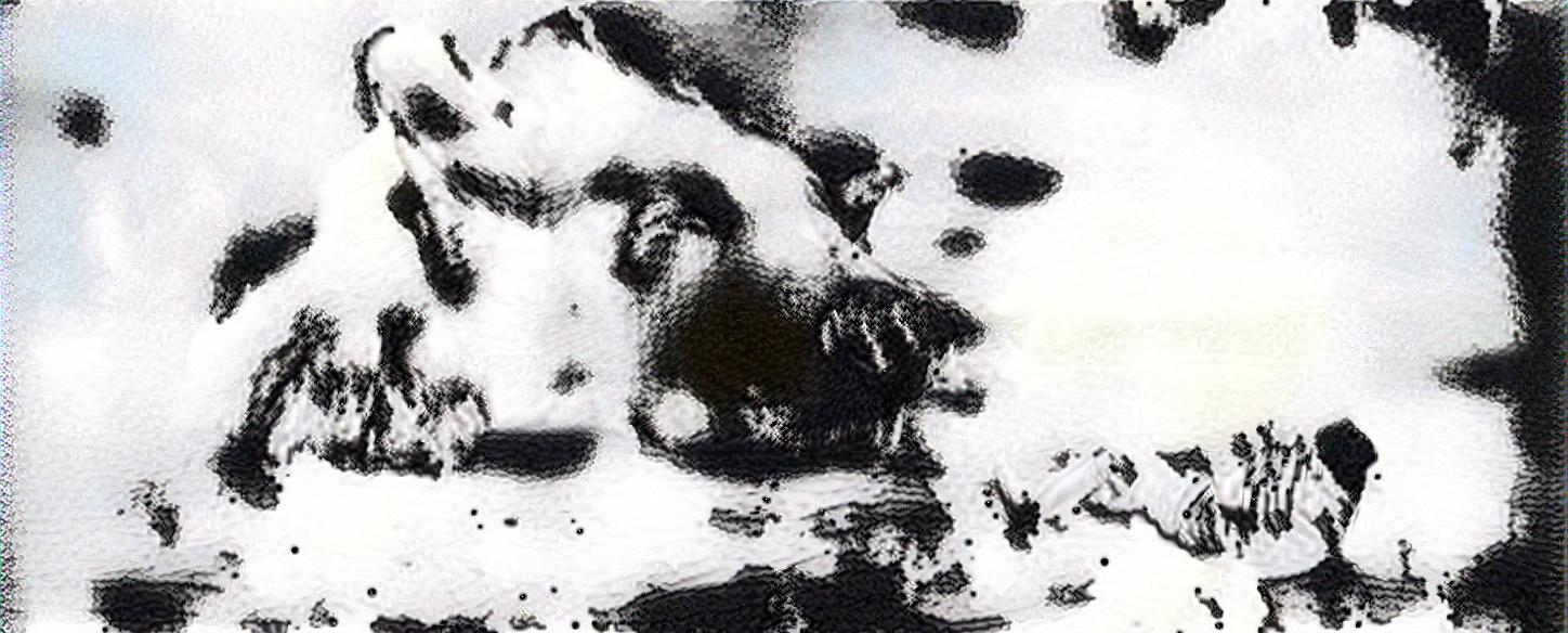 from CC0 photo AI Art