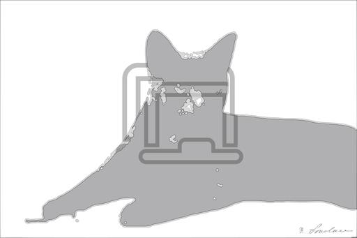 from CC0 photo AI art