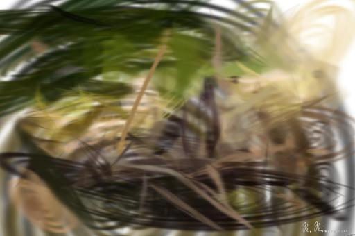Drawn from photo on Pexels: Adorable bear cub exploring its natural habitat on a sunny morning in the forest. AI art