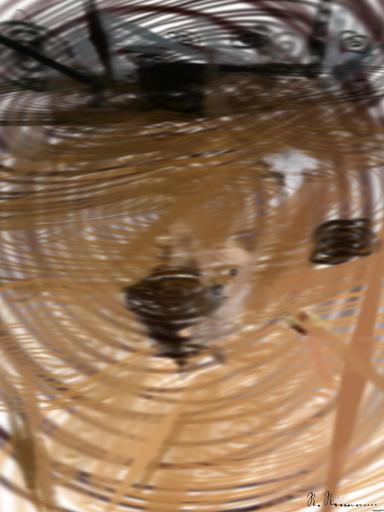 artwork for redditgetsdrawnbybot AI art