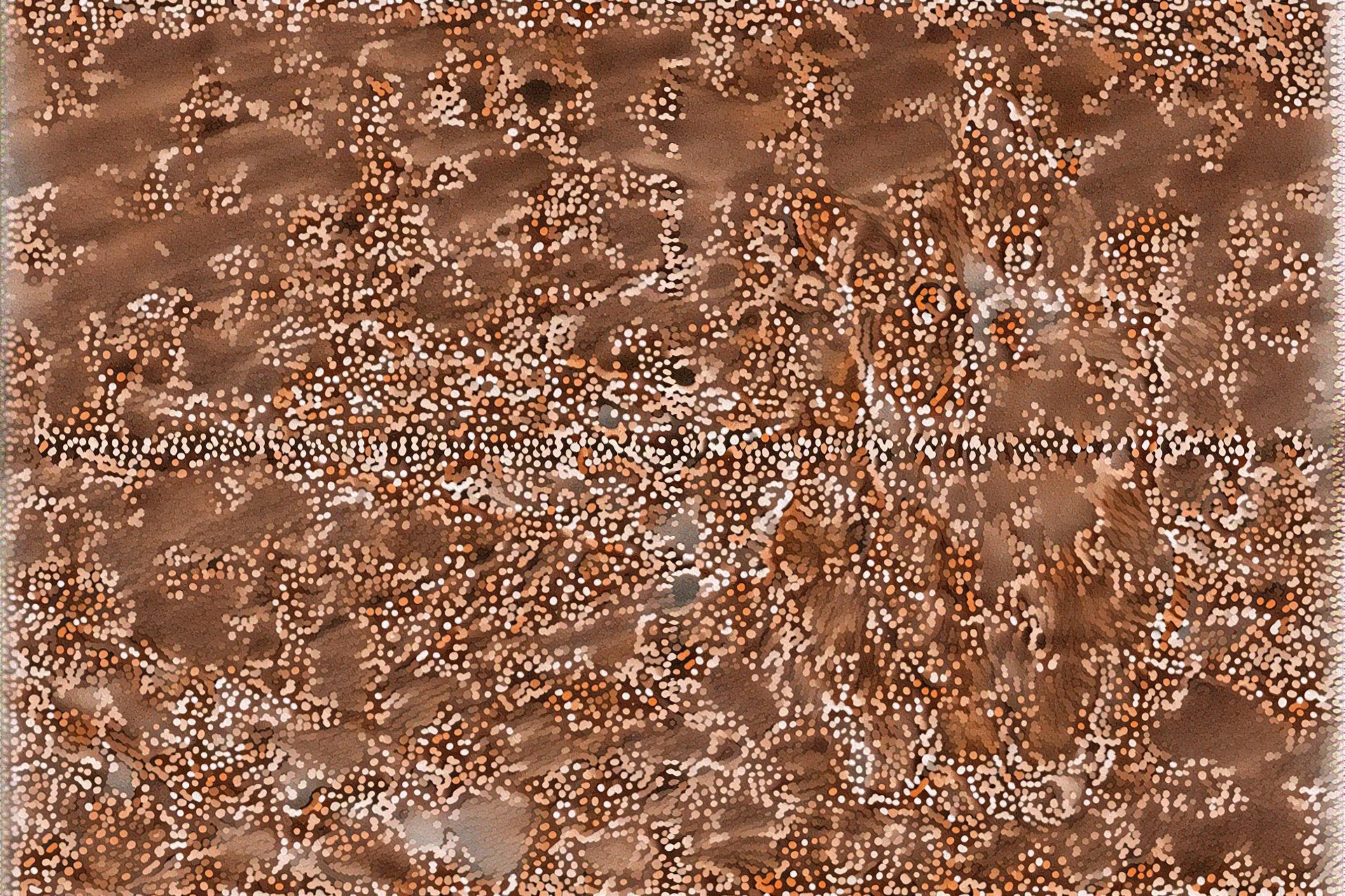 from CC0 photo AI Art