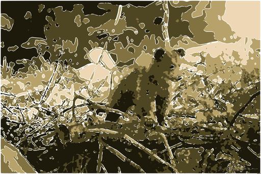 Drawn by bot 8cEe9o8LBPCF4zyPYFT82k; art-bloby; Adorable bear cub exploring its natural habitat on a sunny morning in the forest. AI art