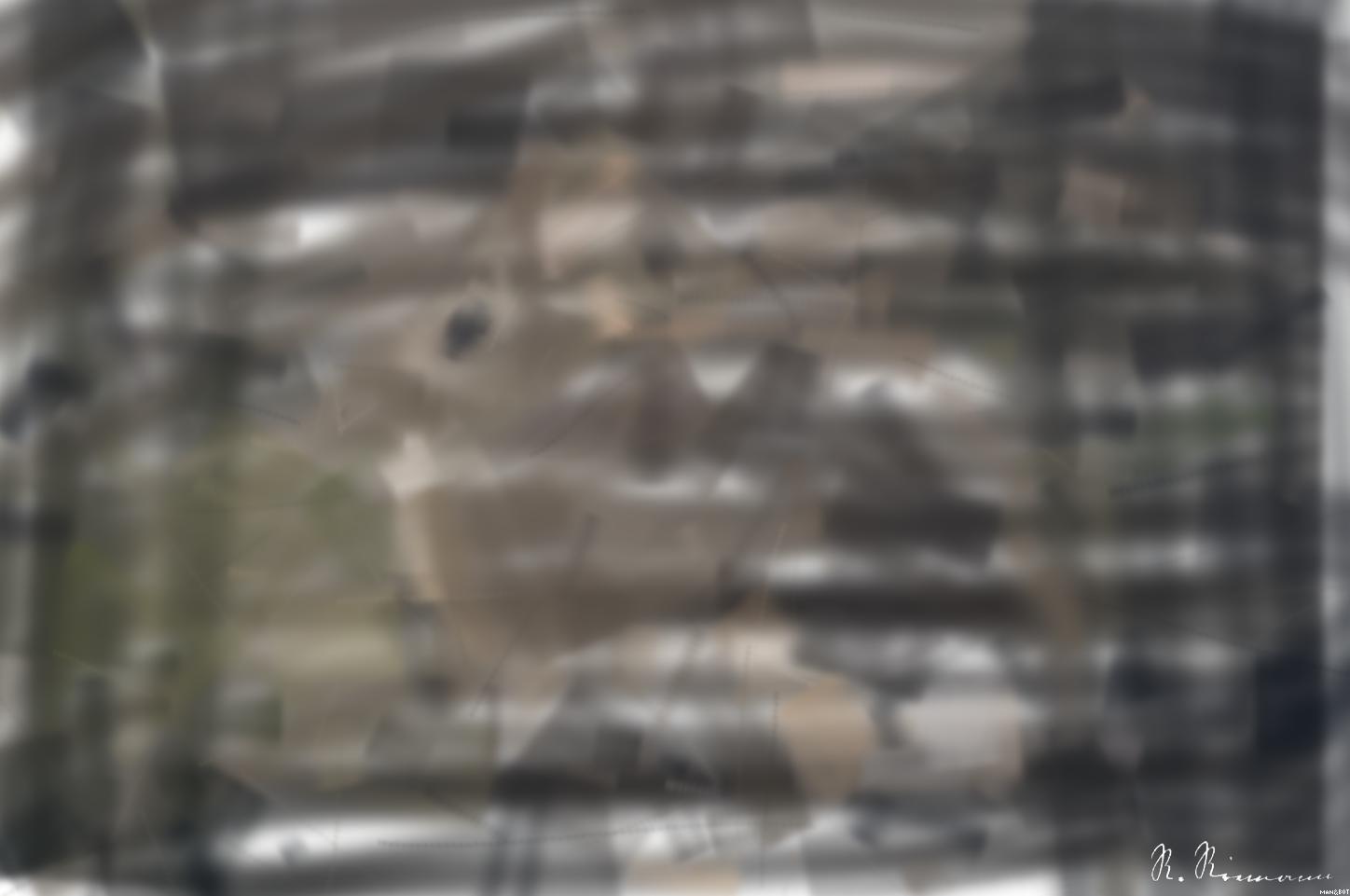 from CC0 photo AI Art