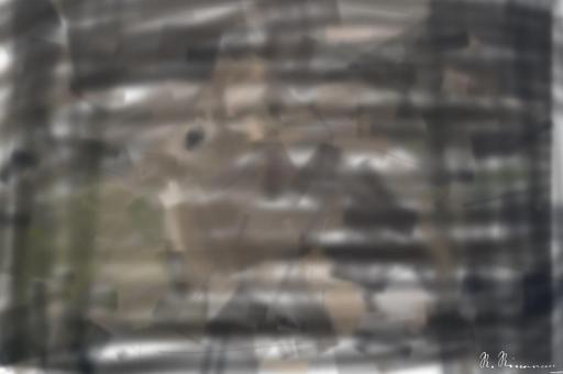 from CC0 photo AI art