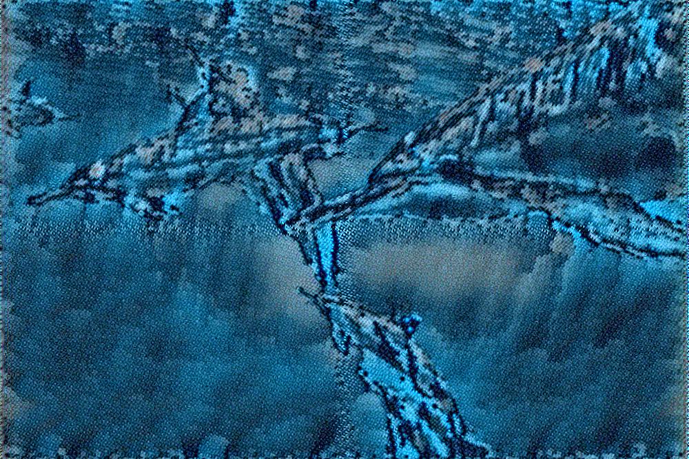 from CC0 photo AI Art